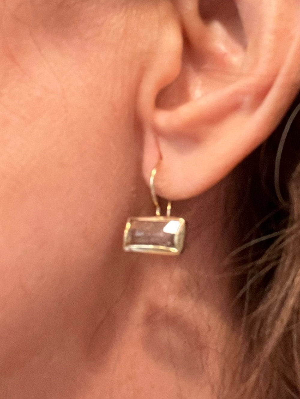 Chan Luu’s Silver Shade Crystal Tab Earrings - Picture 3 of 3